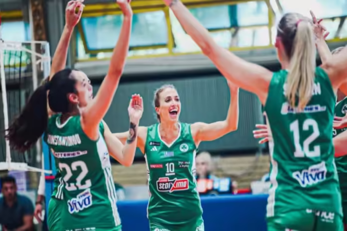 Panathinaikos Volley