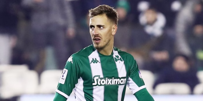 Mancini