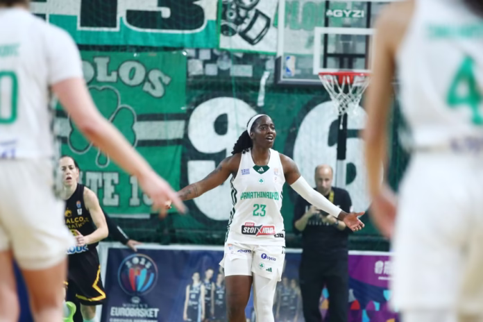 pao basket ginaikes